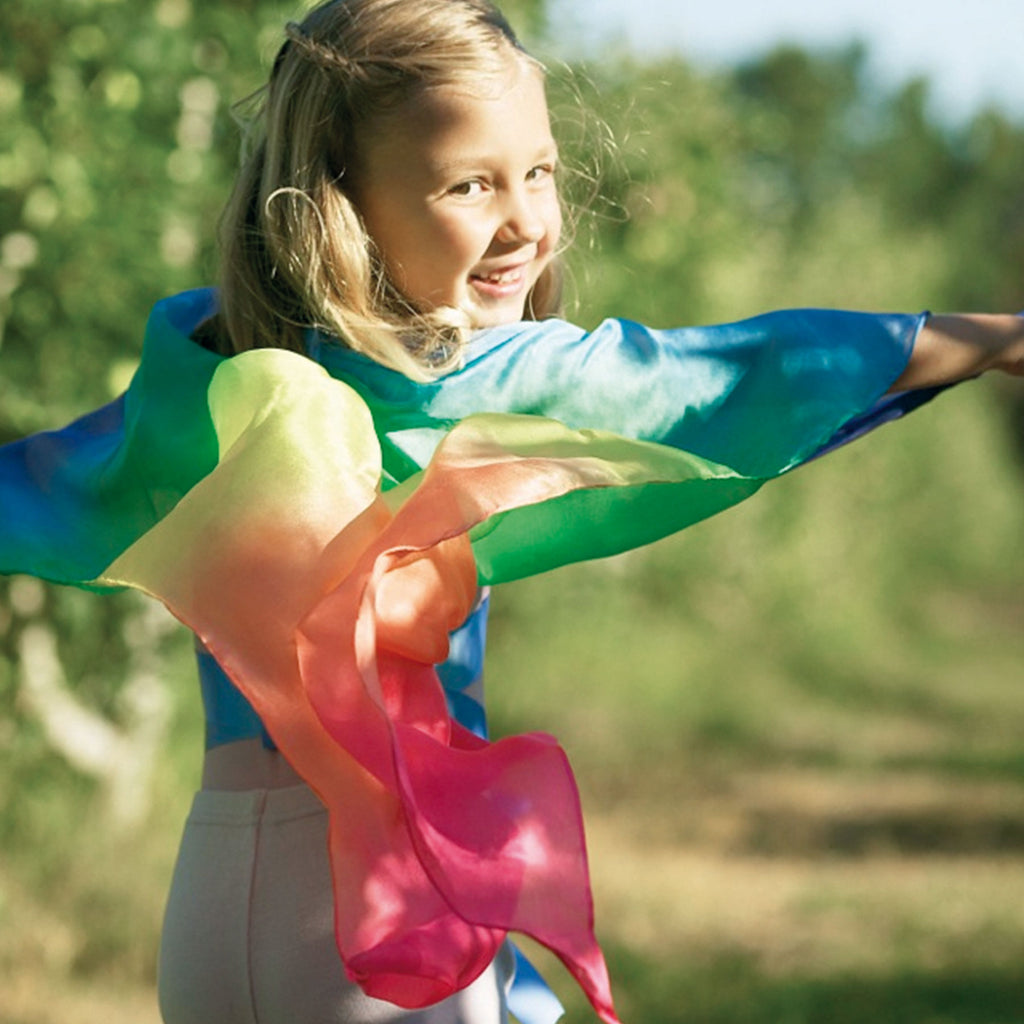 Rainbow Fairy Wings