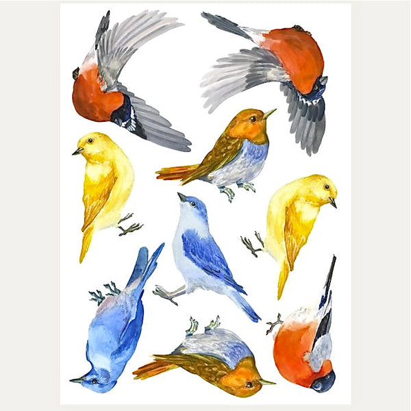 Colourful bird wall decals from original watercolor drawing. Will cheer up any room, nursery or a playroom.
