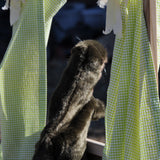 Rolling, wrestling, belly flopping and somersaulting! Join in the river fun with this sweet and cuddly little otter. This amazing Otter Hand Puppet is ready to share his story with your help! Individually hand crafted, true to life.