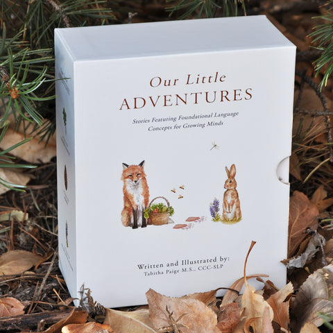 Our Little Adventures Board Books