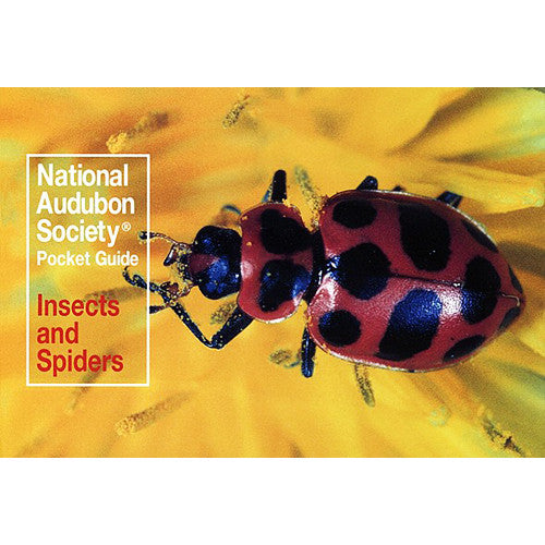 Pocket Guide to Familiar Insects and Spiders