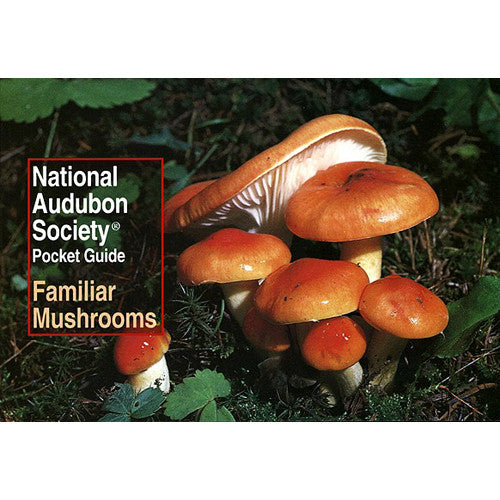 Pocket Guide to Familiar Mushrooms