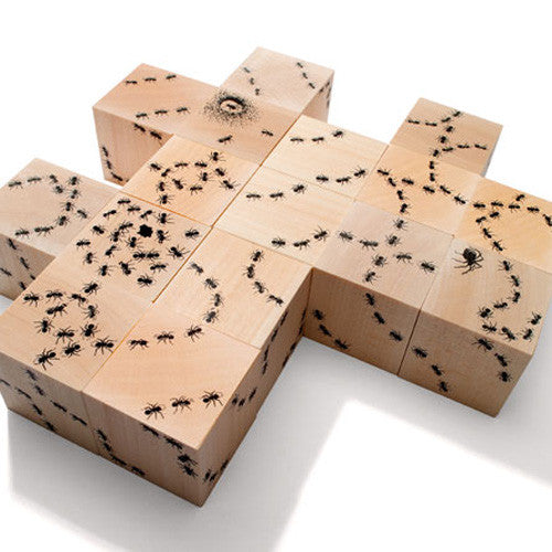 Antics Ant Block Set | Natural Wood Blocks | Eco Friendly Wood Blocks ...