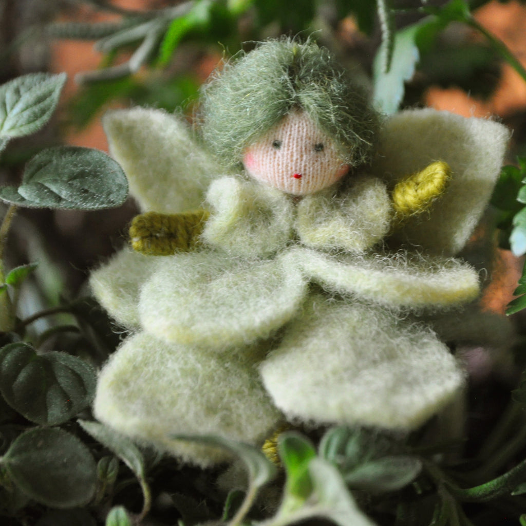 Basil Herb Fairy