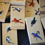 Set of 28 Backyard Birds Dominoes