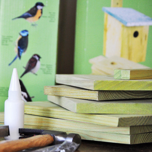 Wooden Birdhouse Kit