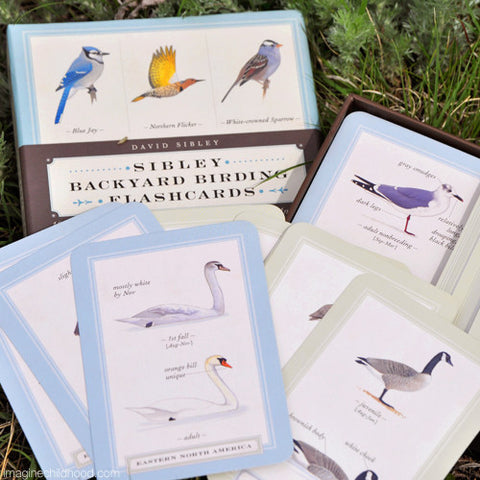 Sibley Backyard Birding Flash Cards