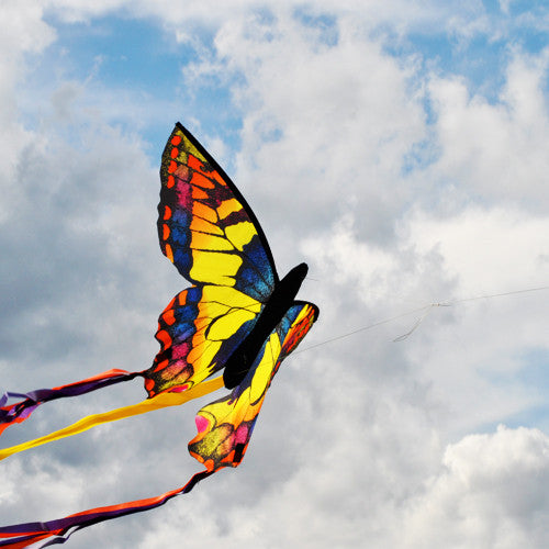 There is nothing like flying a kite on a windy day, not to mention a beautiful kite like this one. Brightly colored with wonderful long tails, we just couldn't put this darling butterfly down. 
