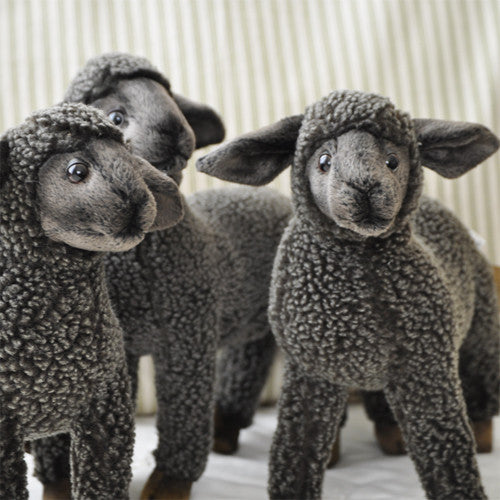Black Sheep Plush Toy, Little Lamb