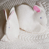 DIY Baby Booties Kit Bunny