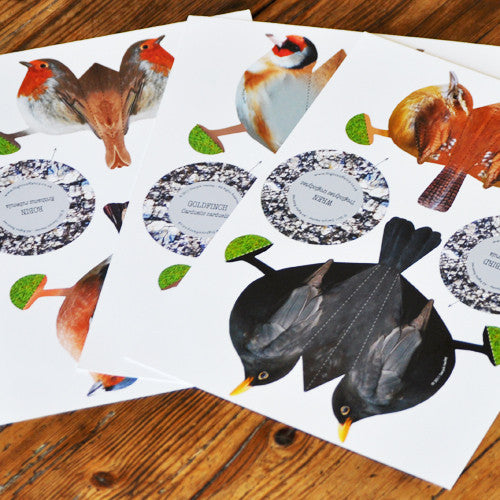 Bring the wonder of ornithology inside with these three dimensional paper bird cut outs. A great rainy or snowy day activity, they are simple to make and realistic in detail.