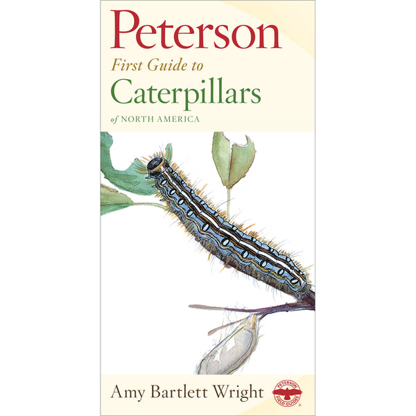 Peterson First Guide to Caterpillars of North America