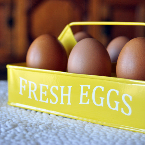 Egg Carrier