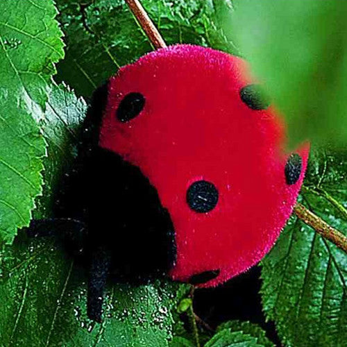 Mohair Ladybug