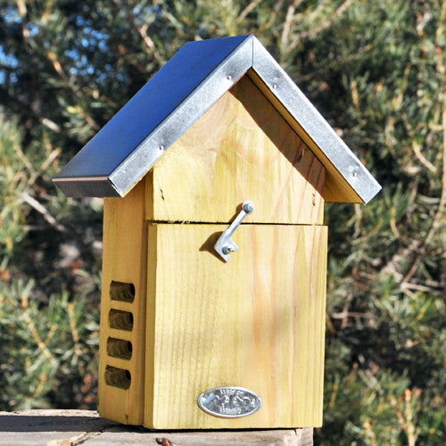 Ladybug House