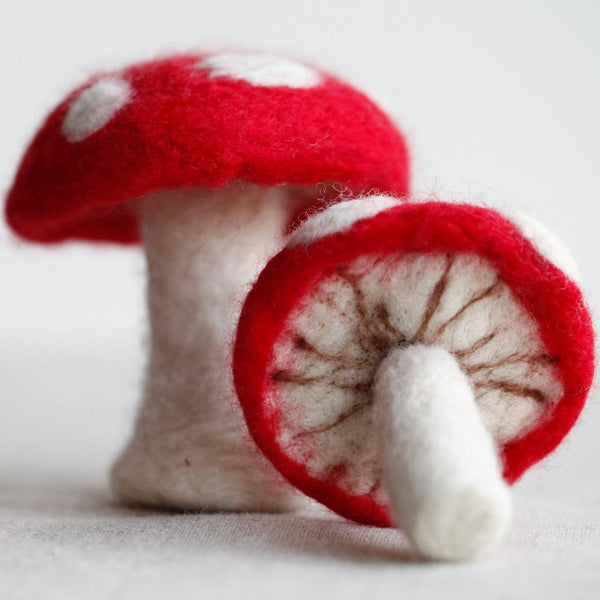 Felted Mushroom Kit