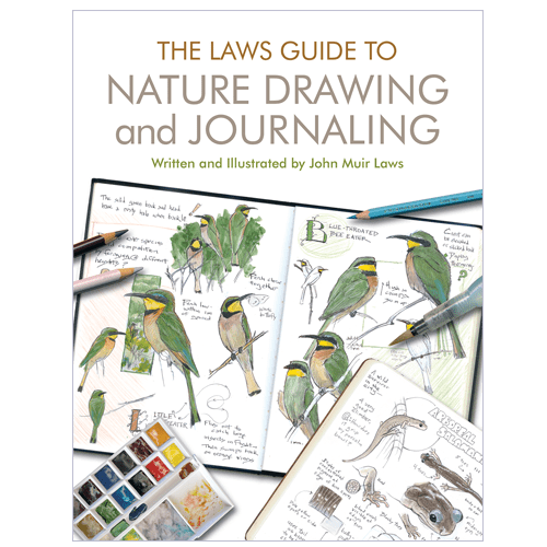 Lessons on how to draw wildflowers, trees, mushrooms, mammals, birds, reptiles, amphibians, insects, landscapes, seascapes, and skies.