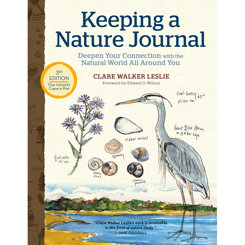 Keeping a Nature Journal, deepens your connections with Nature's beauty, which can be observed everywhere, whether in the city, suburbs, or country, so take a walk with your child and take it all in and then jouranal your observations.