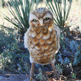 Hansa Plush Realistic Burrowing Owl has a moveable head and bendable feet.