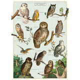 This Owl Poster has Snowy Owl, Tawny Owl, Great Horned Owl, Barn Owl, Mottled Owl, Northern Spotted Owl, Great Cinereous Owl, Great White Owl, Burrowing Owl, Eurasian Eagle Owl and the Brown Owl. It is printed by Cavallini & Co from their archives on Fine Italian Archival Paper.