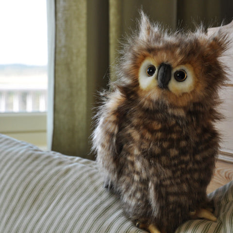 Hansa Great Horned Owl Juvenile