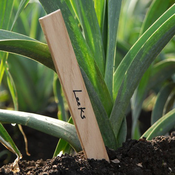 Wooden Garden Markers