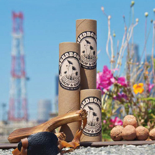 Seedbombs