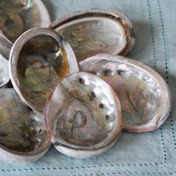 Abalone shells are unpolished and sustainably collected. Abalone shells have been used by Native Americans for centuries as "smudge bowls".  Archaeologists have uncovered 100,000 year old abalone shells used to mix paints containing a ochre compound, used in cave paintings.