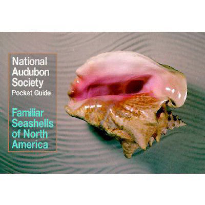 Pocket Guide to Familiar Seashells