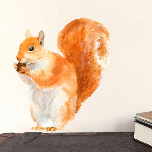 Red Squirrel Wall Decal