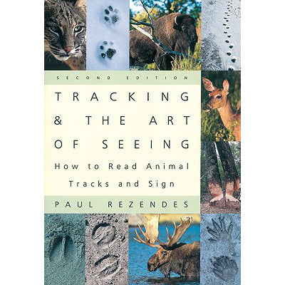 Tracking and the Art of Seeing