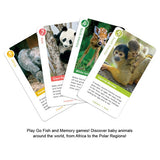 Wild Cards:Baby Animals Around the World