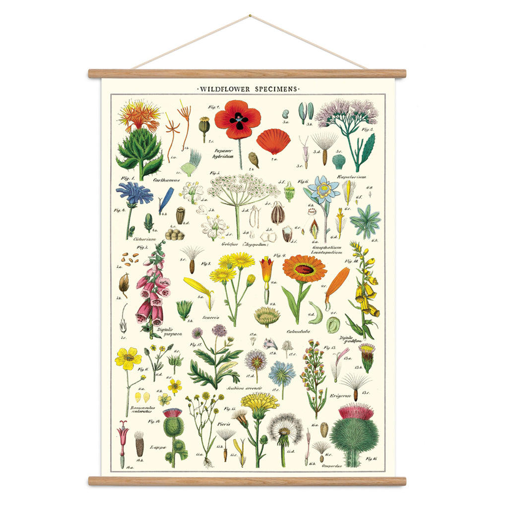 Wildflower Poster – Imagine Childhood