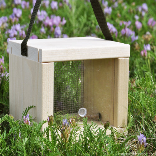Small Window Bug House