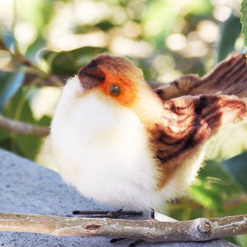 True to Life Fairy Wren the female is brown and the male is blue. This plush little bird is made by Hansa. 